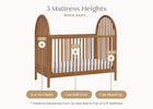 Chestnut (836) 17-Cannon 4-in-1 Convertible Crib