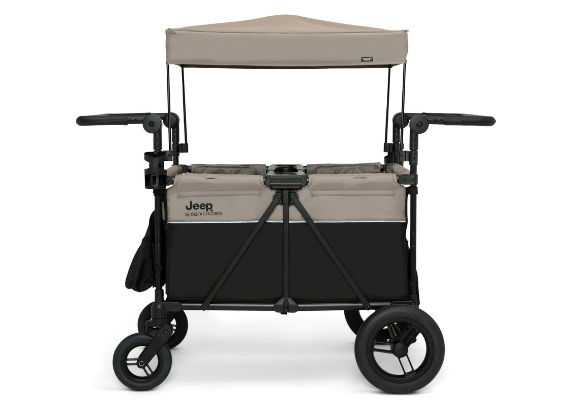 Black and Tan (2473)