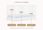 Bianca White (130) 5-Lulu 5-in-1 Convertible Crib