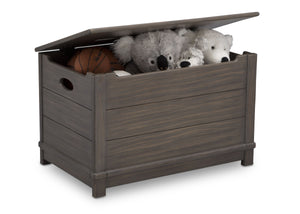 Delta Children Rustic Grey (084)  Monterey Farmhouse Hope Chest Toy Box (536450), w Props, a4a 6-Jackson Storage Chest