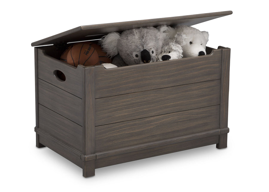 Delta Children Rustic Grey (084)  Monterey Farmhouse Hope Chest Toy Box (536450), w Props, a4a 5-Jackson Storage Chest