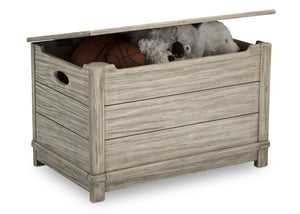 Delta Children Rustic White (119)  Monterey Farmhouse Hope Chest Toy Box (536450), w Props, b4b 11-Jackson Storage Chest