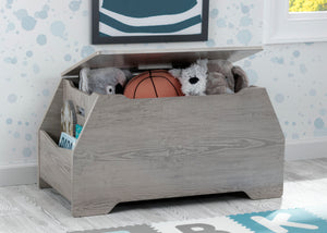 YourPick: Crafted Limestone (1334) 3-Signature Toy Box with Book Storage