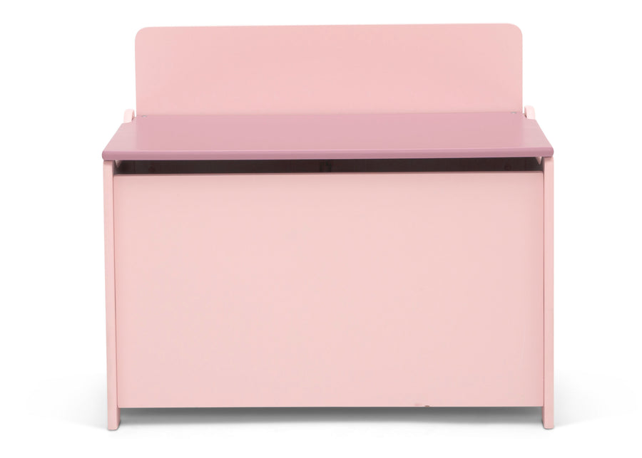 Blush (1271) 2-GapKids Toy Box
