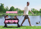 Disney Minnie Mouse (2344) 1-Disney Minnie Mouse Stroller Wagon