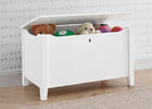 Textured White (1349) 1-Farmhouse Toy Box