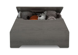 Crafted Grey (1333) 9-Signature Toy Box with Book Storage