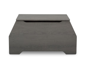 Crafted Grey (1333) 20-Signature Toy Box with Book Storage