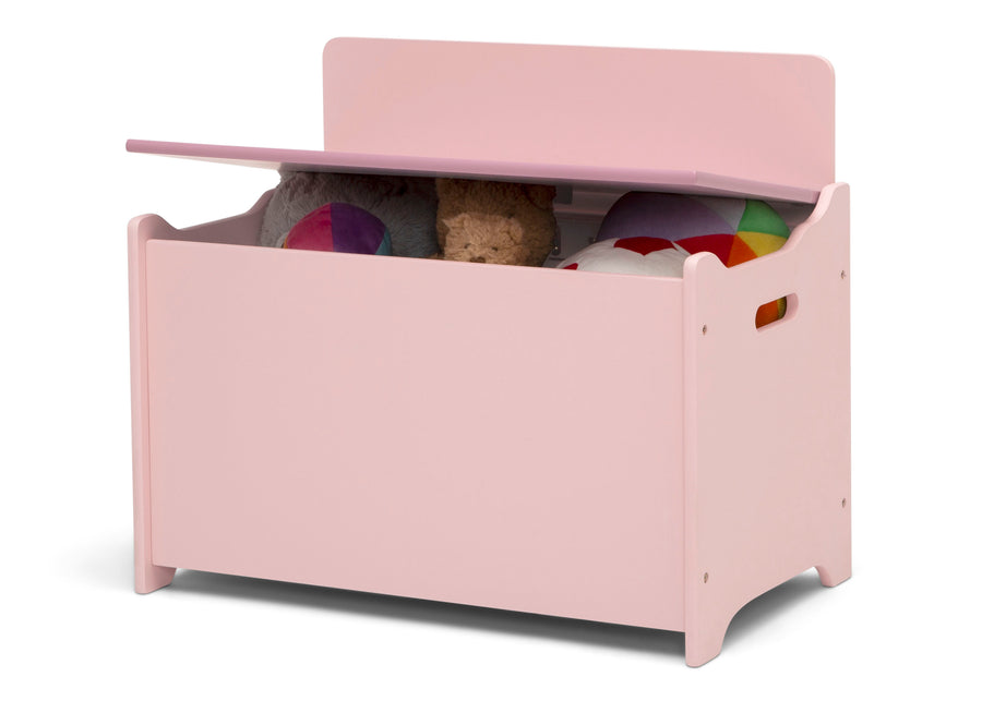 Blush (1271) 3-GapKids Toy Box